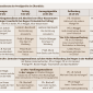 Sommerpredigtreihe 2026