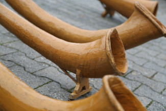 Alphörner
