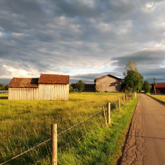 Ein Feldweg in der Abendsonne, entlang führt ein Weidezaun, man sieht grünes Gras und zwei Holzhütten. Am Himmel türmen sich graue Wolken, die von der Abendsonne angeleuchtet werden.