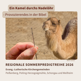Ein Kamel und eine große Nadel sind zu sehen, passend zum Titel der Predigtreihe: Das Kamel und das Nadelöhr - Provozierendes in der Bibel