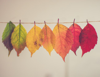 Bunte Herbstblätter in Farbschattierungen von Grün, Gelb, Orange, bis Rot aufgereiht an einer Schnur.