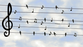 Stromleitungen am Himmel wurden zu Notenzeilen gemacht, darauf sitzen Vögel und Noten abwechselnd, am Anfang der Zeilen steht ein Violinschlüssel.