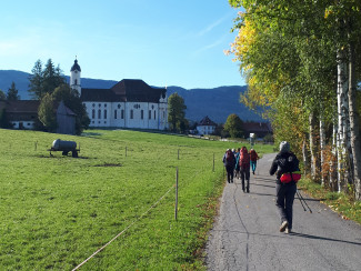 Pilgernde mit Rucksäcken auf dem Weg neben einer grünen Wiese, am Ende des Weges sieht man die Wieskirche.